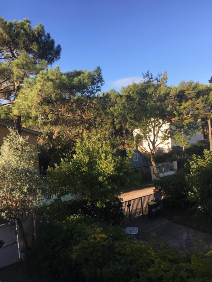 Villa L'Amiraute Agde Eksteriør billede